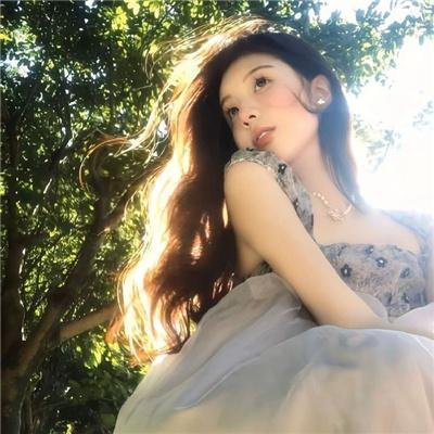 偷窃法则